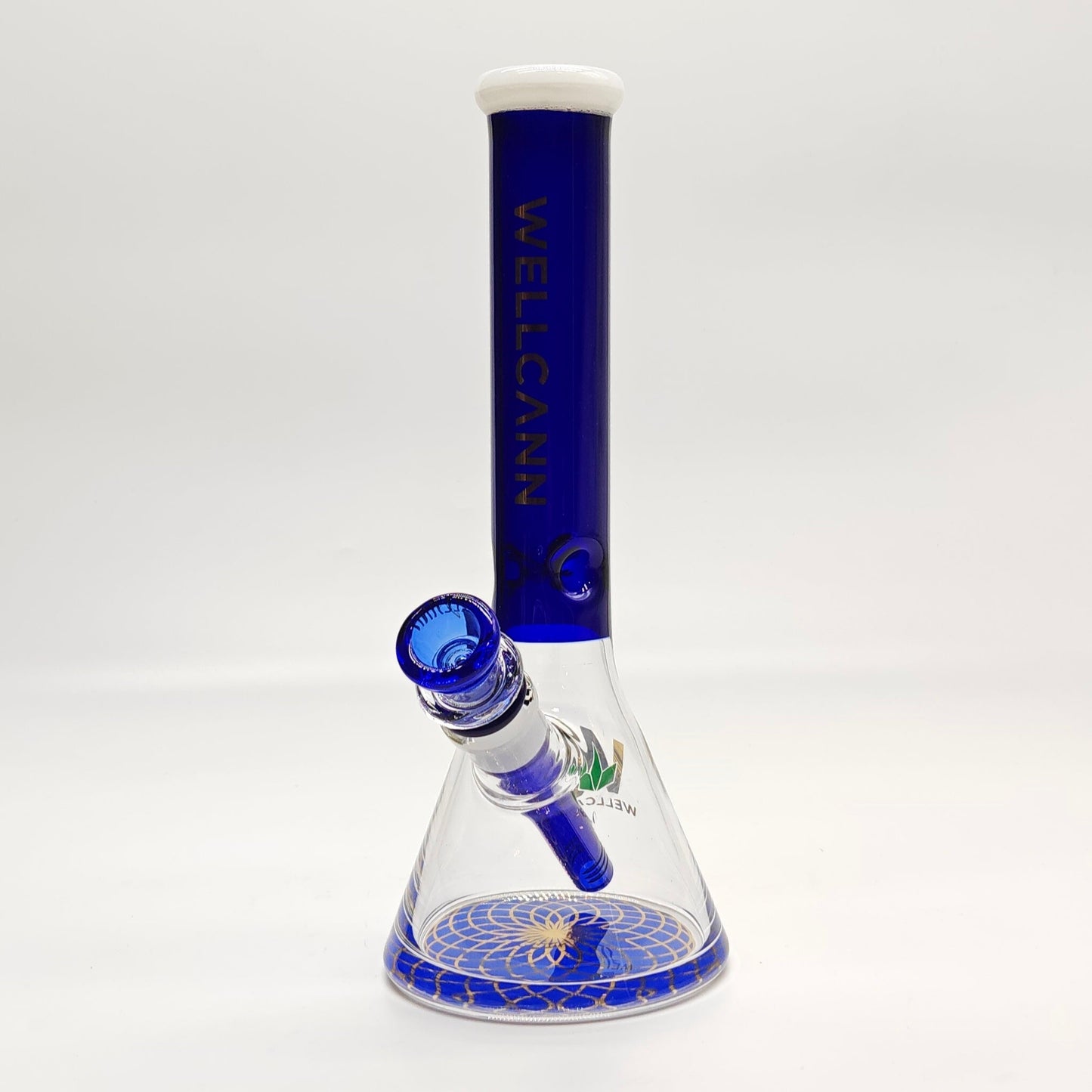 10" 5mm Accent Thickened Beaker