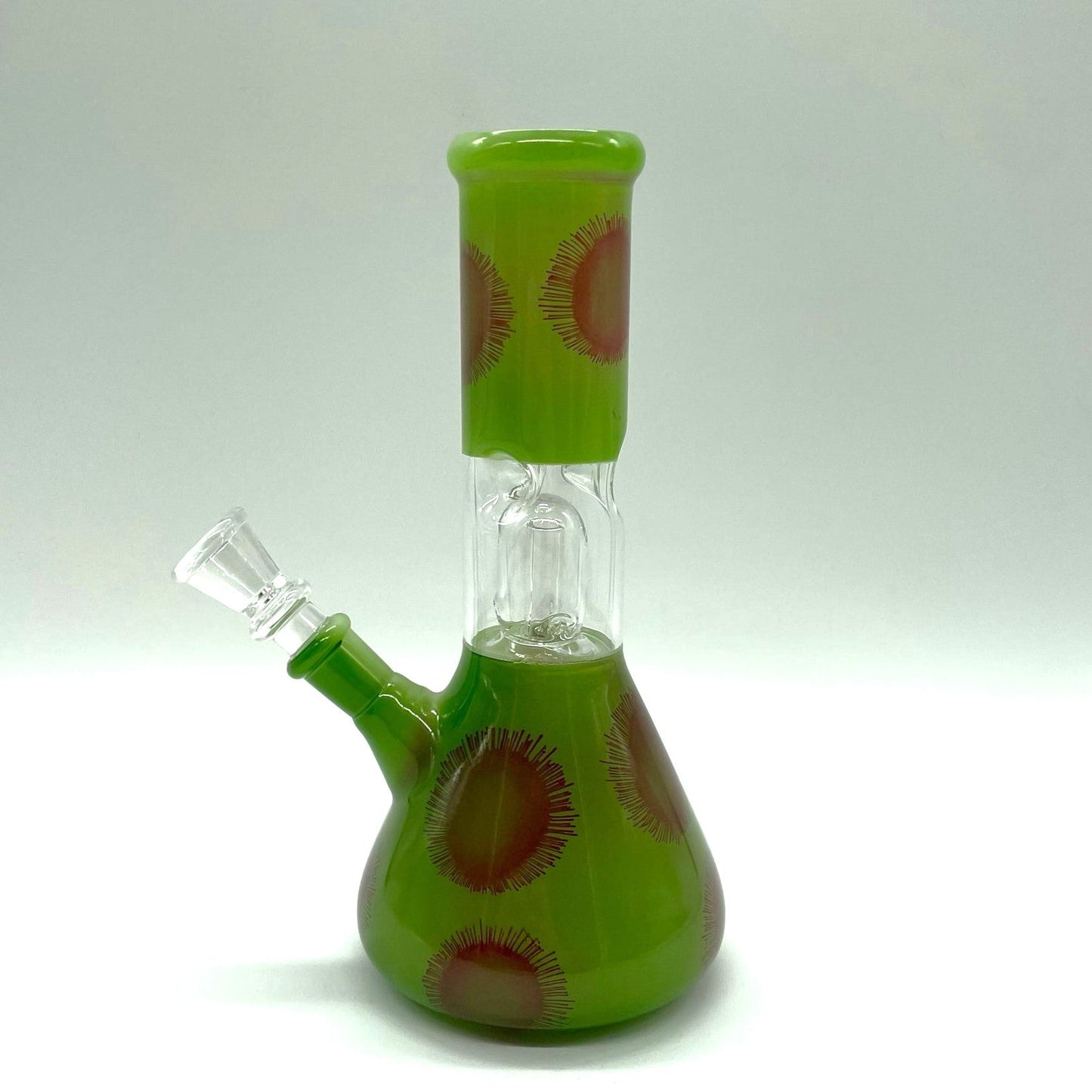 8" Water Pipe with Percolator- Assorted Color