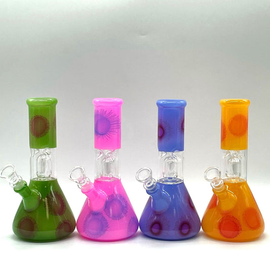 8" Water Pipe with Percolator- Assorted Color