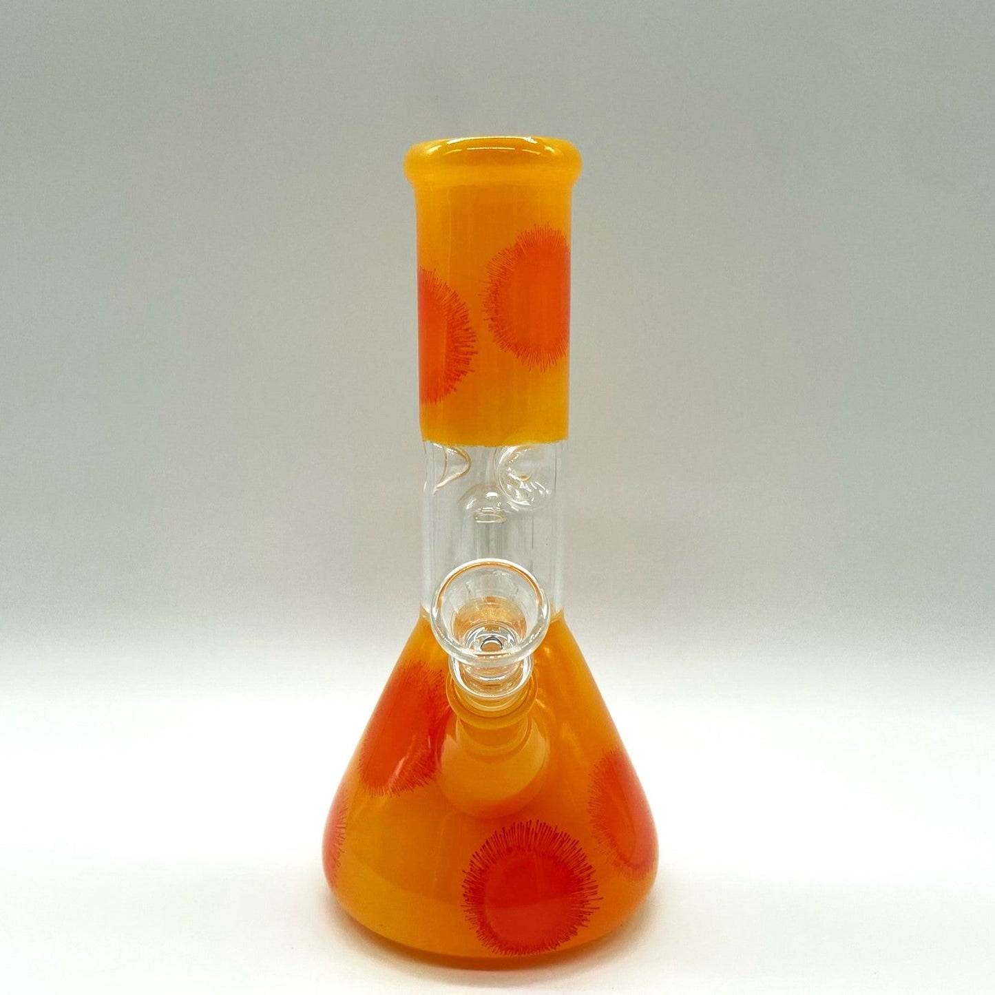 8" Water Pipe with Percolator- Assorted Color