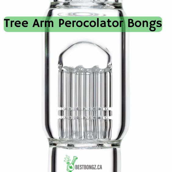 zoomed in photo of tree arm percolator glass bong on white background