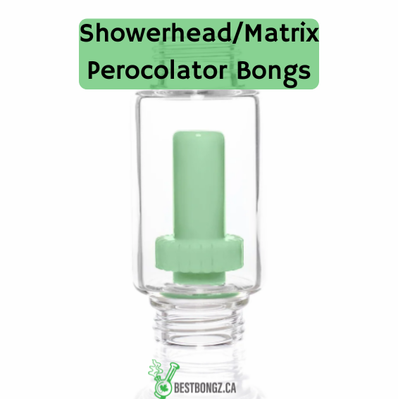 Showerhead/Matrix Percolator Bongs