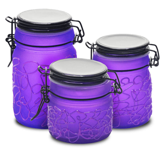 Spider Web Design Glass Storage Jar – Purple-Multiple Sizes Available [SMKZ-139]