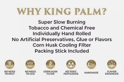 Infographic slide showing the pros of using king palm filter tips on a white background