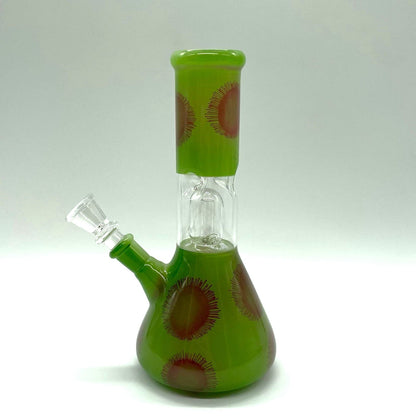 8" Water Pipe with Percolator- Assorted Color