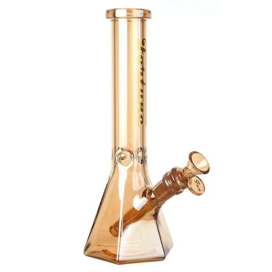 Fortune | Electroplated 10" 5mm Hexagon Glass Beaker Bong - 4 Assorted Colours