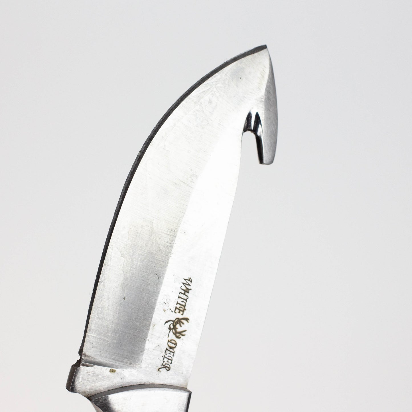 Skinner knife Buffalo Horn Grip Drop Point [WD9412]