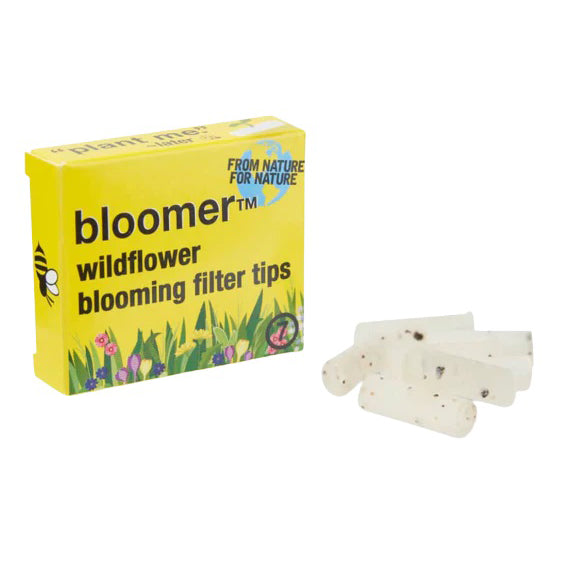 bloomer™ | plantable wax filter tips box of 12_0